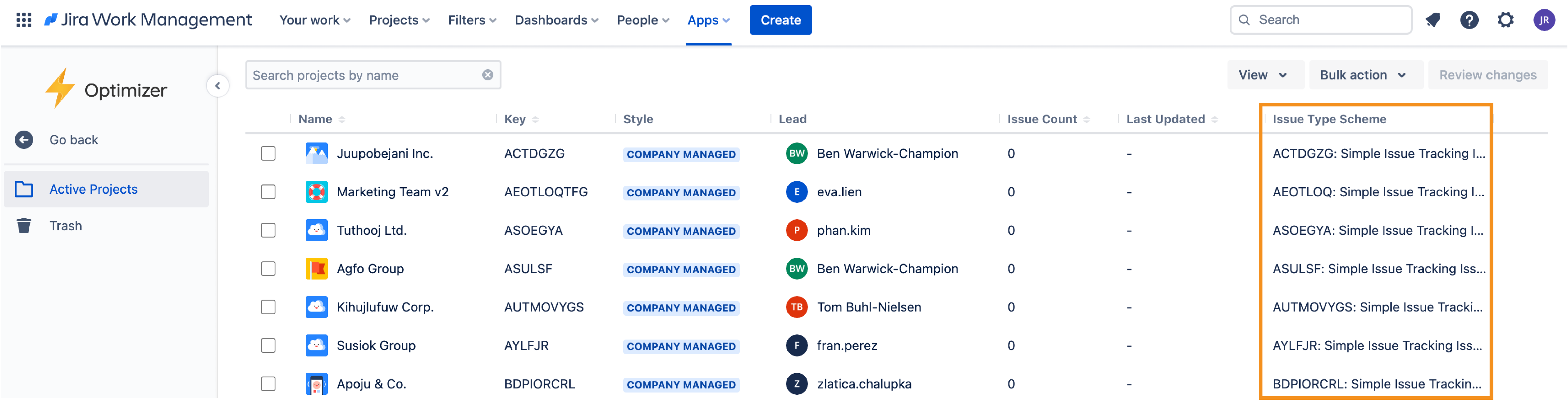 Project issue type .png